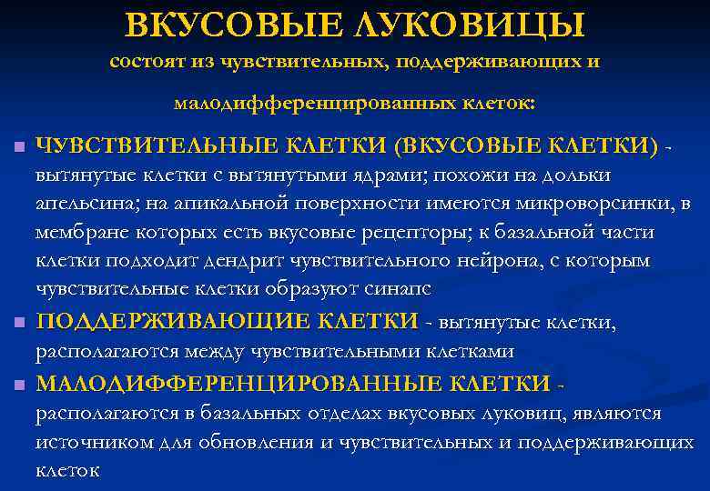 ВКУСОВЫЕ ЛУКОВИЦЫ состоят из чувствительных, поддерживающих и малодифференцированных клеток: n n n ЧУВСТВИТЕЛЬНЫЕ КЛЕТКИ