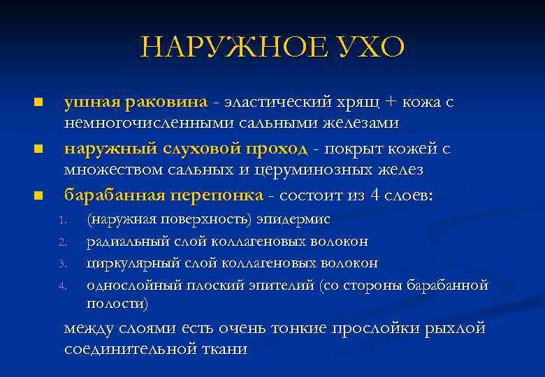 НАРУЖНОЕ УХО n n n ушная раковина - эластический хрящ + кожа с немногочисленными
