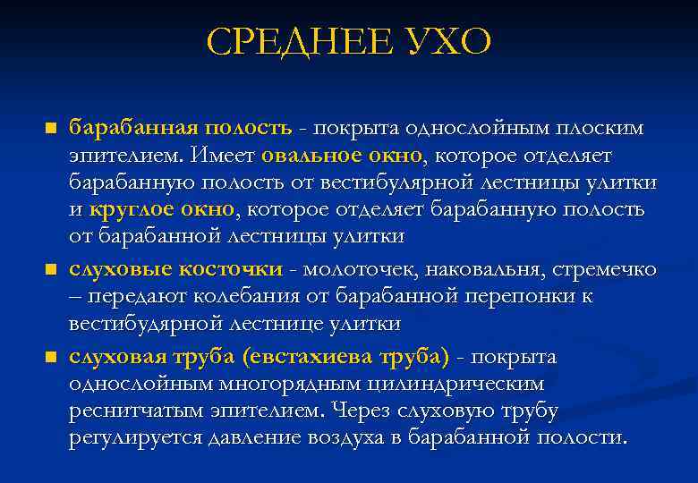 СРЕДНЕЕ УХО n n n барабанная полость - покрыта однослойным плоским эпителием. Имеет овальное