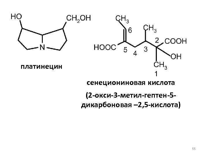 платинецин сенециониновая кислота (2 -окси-3 -метил-гептен-5 дикарбоновая – 2, 5 -кислота) 55 