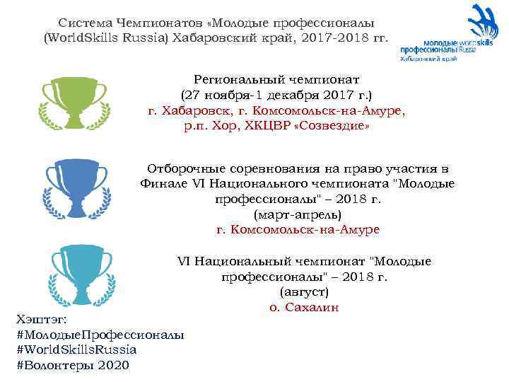 Система Чемпионатов «Молодые профессионалы (World. Skills Russia) Хабаровский край, 2017 -2018 гг. Региональный чемпионат