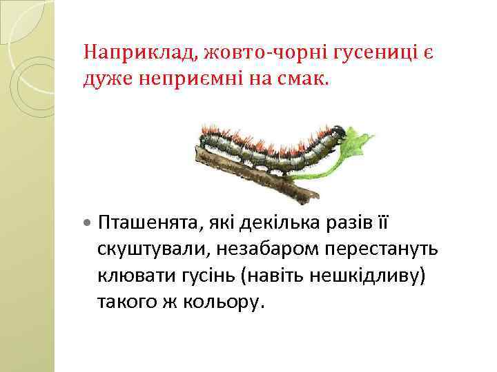 Наприклад, жовто-чорні гусениці є дуже неприємні на смак. Пташенята, які декілька разів її скуштували,