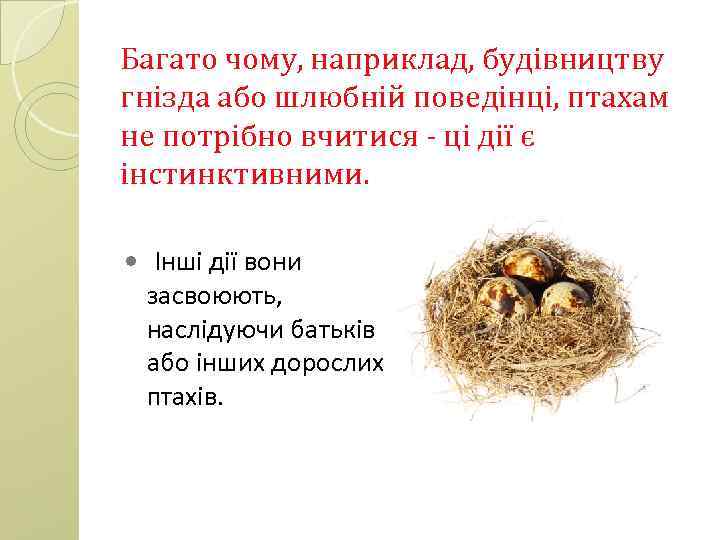 Багато чому, наприклад, будівництву гнізда або шлюбній поведінці, птахам не потрібно вчитися - ці