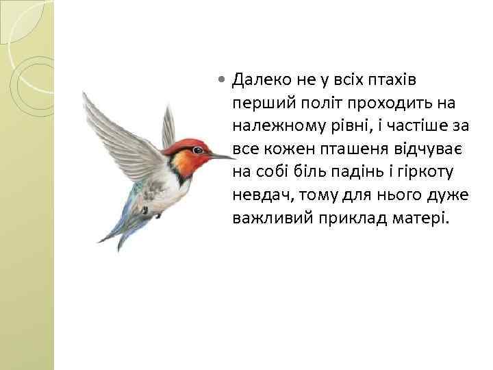  Далеко не у всіх птахів перший політ проходить на належному рівні, і частіше