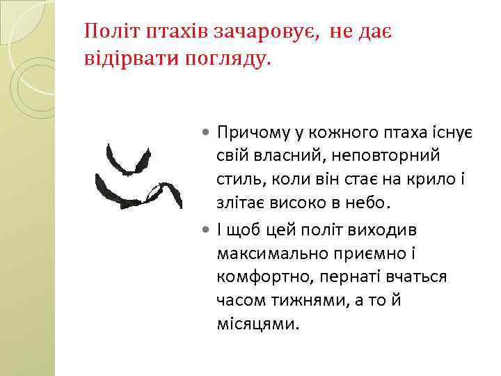 Політ птахів зачаровує, не дає відірвати погляду. Причому у кожного птаха існує свій власний,