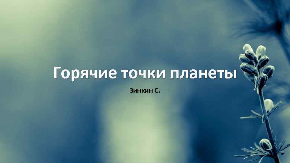 Горячие точки планеты Зинкин С. 