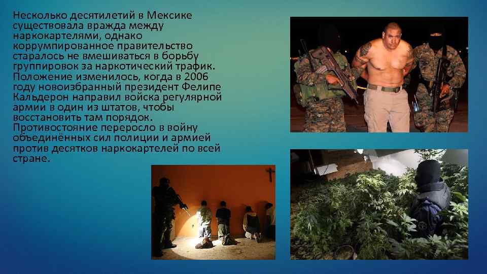 Несколько десятилетий в Мексике существовала вражда между наркокартелями, однако коррумпированное правительство старалось не вмешиваться
