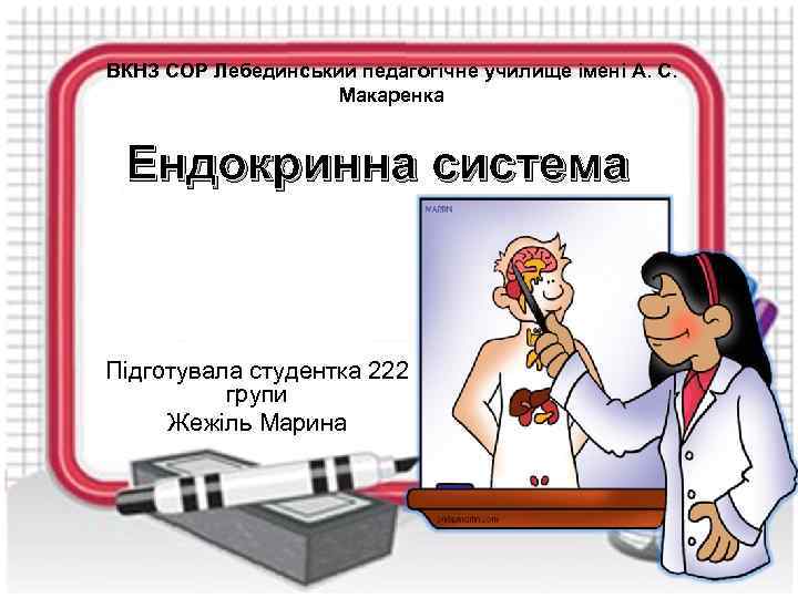 ВКНЗ СОР Лебединський педагогічне училище імені А. С. Макаренка Ендокринна система Підготувала студентка 222