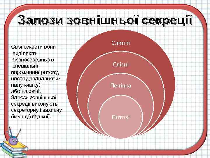 Залози зовнішньої секреції Свої секрети вони виділяють безпосередньо в спеціальні порожнини( ротову, носову, дванадцятипалу