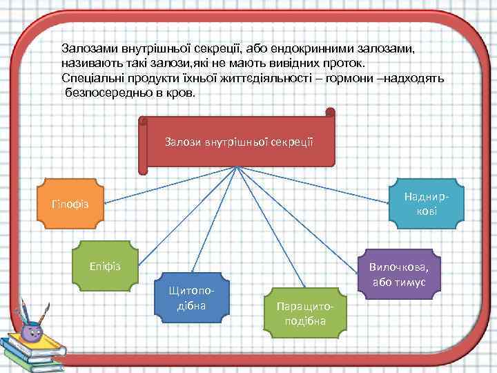 Залозами внутрішньої секреції, або ендокринними залозами, називають такі залози, які не мають вивідних проток.