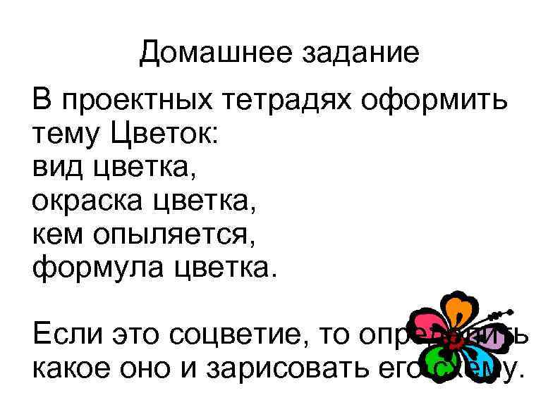 Домашнее задание В проектных тетрадях оформить тему Цветок: вид цветка, окраска цветка, кем опыляется,