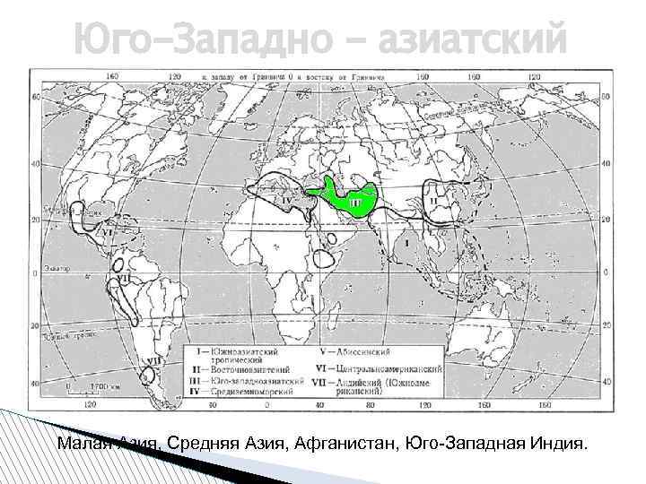 Юго-Западно - азиатский Малая Азия, Средняя Азия, Афганистан, Юго-Западная Индия. 