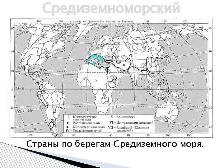 Средиземноморский Страны по берегам Средиземного моря. 