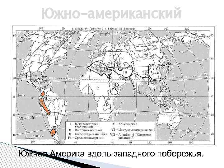 Южно-американский Южная Америка вдоль западного побережья. 