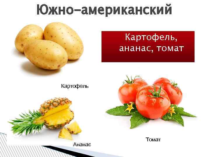 Южно-американский Картофель, ананас, томат Картофель Ананас Томат 