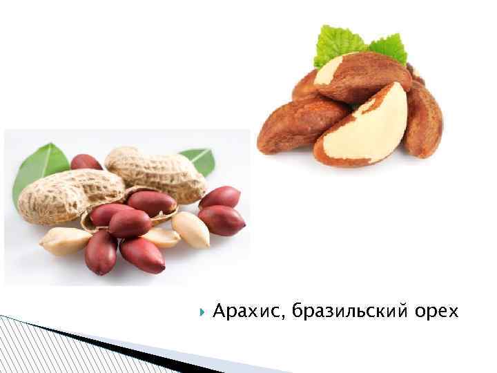  Арахис, бразильский орех 
