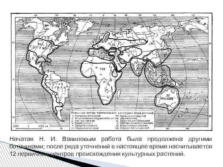 Начатая Н. И. Вавиловым работа была продолжена другими ботаниками; после ряда уточнений в настоящее