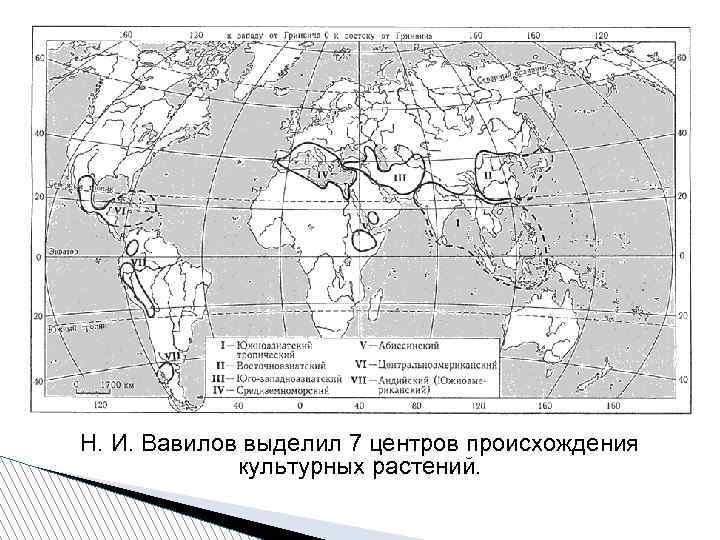 Н. И. Вавилов выделил 7 центров происхождения культурных растений. 
