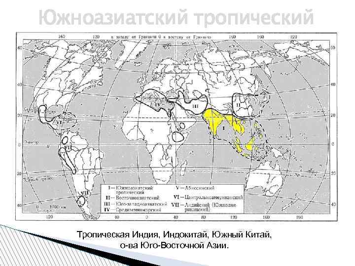 Южноазиатский тропический Тропическая Индия, Индокитай, Южный Китай, о-ва Юго-Восточной Азии. 
