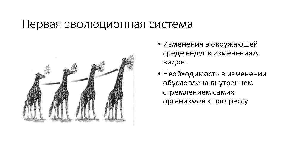 Первая эволюционная система • Изменения в окружающей среде ведут к изменениям видов. • Необходимость