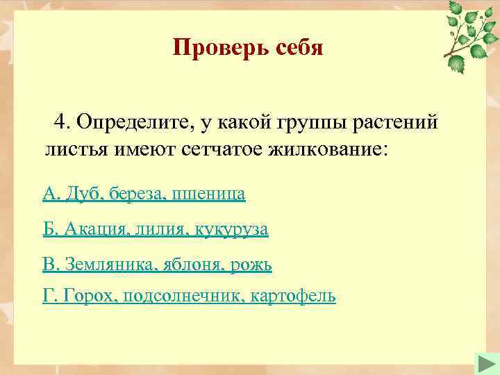 Проверь себя 4. Определите, у какой группы растений листья имеют сетчатое жилкование: А. Дуб,