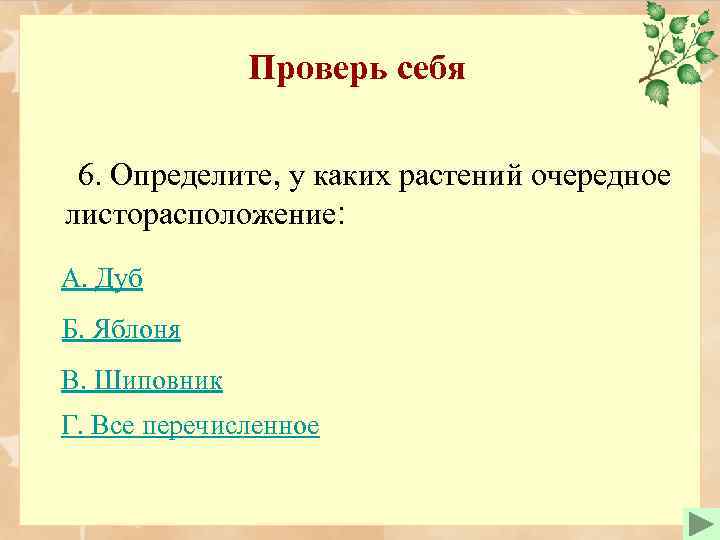 Проверь себя 6. Определите, у каких растений очередное листорасположение: А. Дуб Б. Яблоня В.