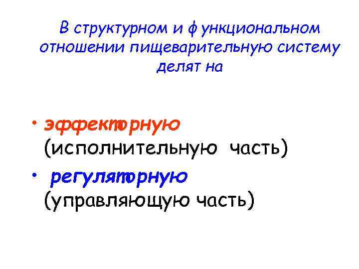 В структурном и функциональном отношении пищеварительную систему делят на • эффекторную (исполнительную часть) •