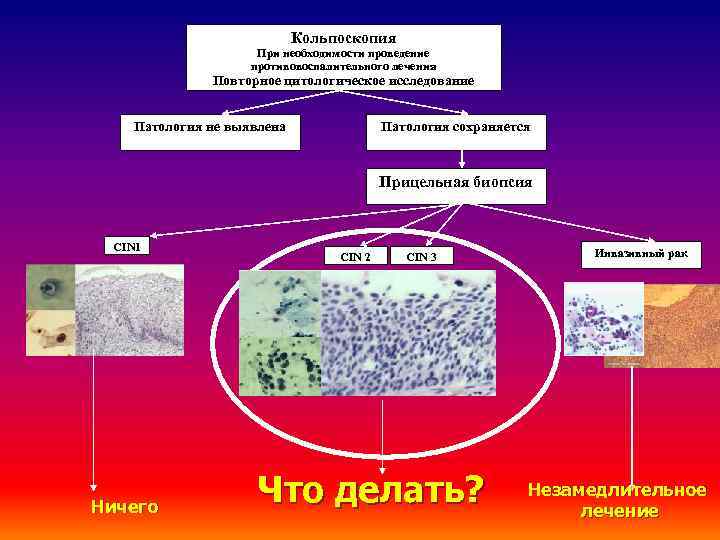 Кольпоскопия При необходимости проведение противовоспалительного лечения Повторное цитологическое исследование Патология не выявлена Патология сохраняется