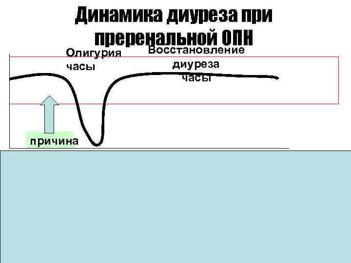 Динамика диуреза при преренальной ОПН Восстановление Олигурия часы диуреза часы причина Снижение диуреза дни/недели