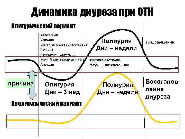 Динамика диуреза при ОТН Олигурический вариант Азотемия Уремия Полиурия Артериальная гипертензия Дни – недели
