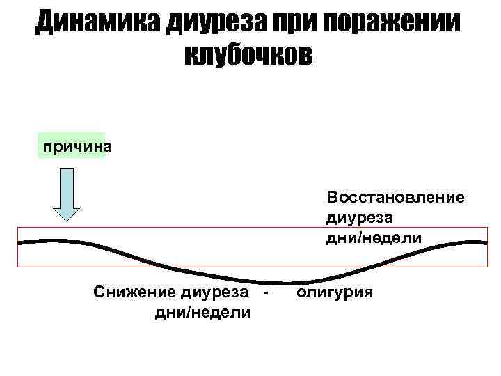 Динамика диуреза при поражении клубочков причина Восстановление диуреза дни/недели Снижение диуреза дни/недели олигурия 