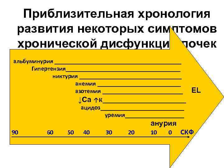 Приблизительная хронология развития некоторых симптомов хронической дисфункции почек альбуминурия _____________________ Гипертензия___________________ никтурия _________________ анемия