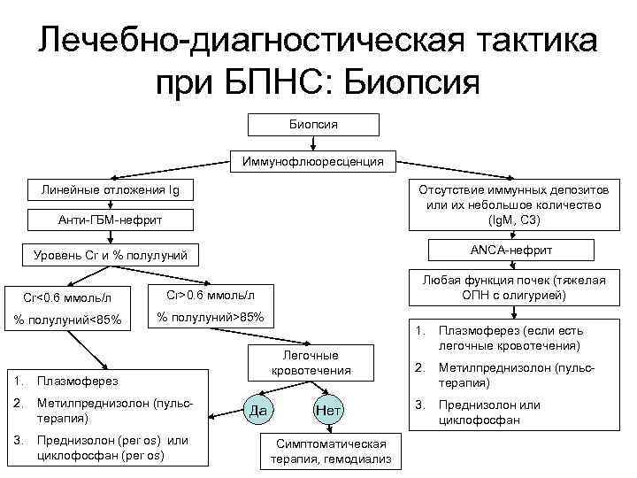 Лечебно-диагностическая тактика при БПНС: Биопсия Иммунофлюоресценция Линейные отложения Ig Анти-ГБМ-нефрит Отсутствие иммунных депозитов или