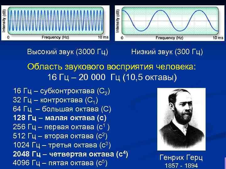 Высокий звук (3000 Гц) Низкий звук (300 Гц) Область звукового восприятия человека: 16 Гц