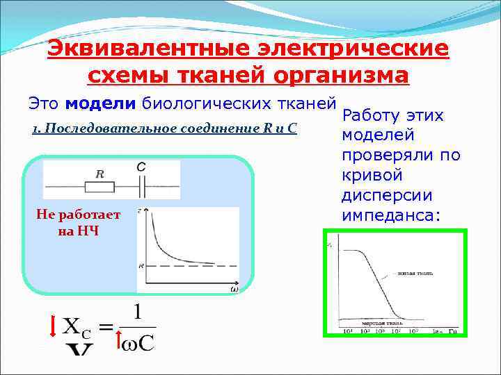 Какие сопротивления должна содержать эквивалентная электрическая схема тканей организма