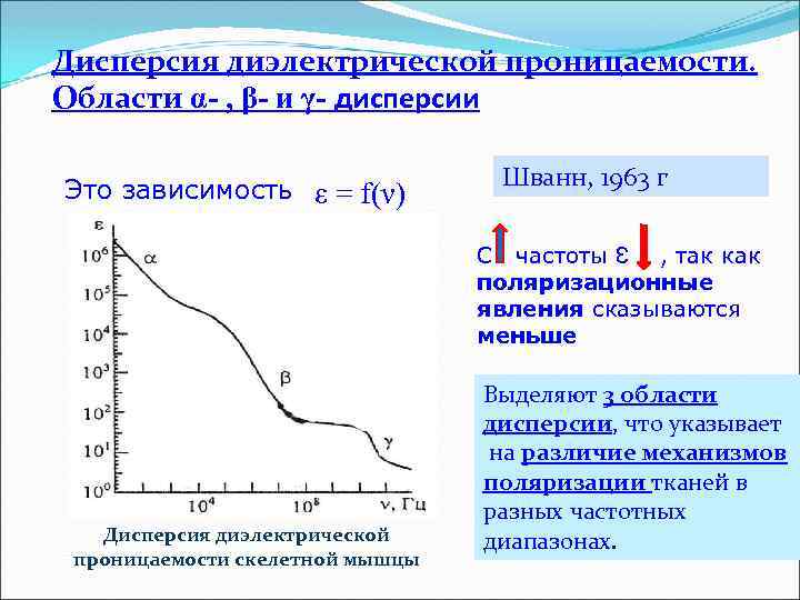 Простейшая электрическая эквивалентная схема биологической ткани