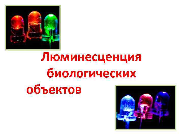 Люминесценция биологических объектов 