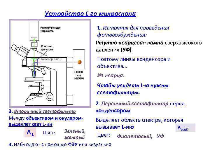 Устройство L-го микроскопа 1. Источник для проведения фотовозбуждения: Ртутно-кварцевая лампа сверхвысокого давления (УФ) Поэтому