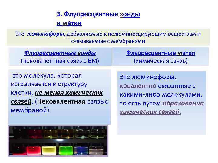 3. Флуоресцентные зонды и метки Это люминофоры, добавляемые к нелюминесцирующим веществам и связываемые с