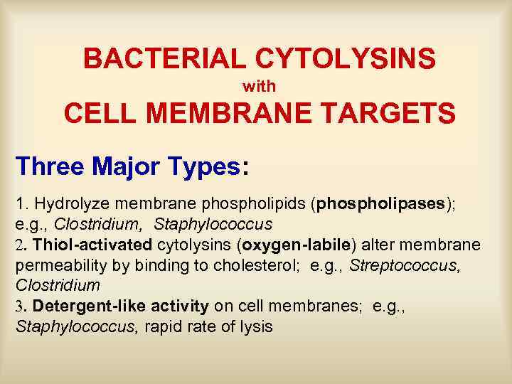 BACTERIAL CYTOLYSINS with CELL MEMBRANE TARGETS Three Major Types: 1. Hydrolyze membrane phospholipids (phospholipases);