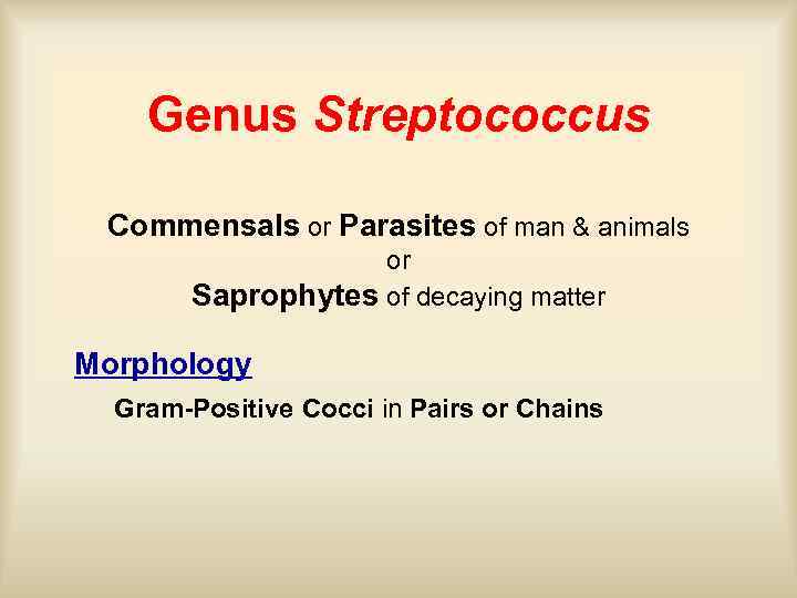 Genus Streptococcus Commensals or Parasites of man & animals or Saprophytes of decaying matter