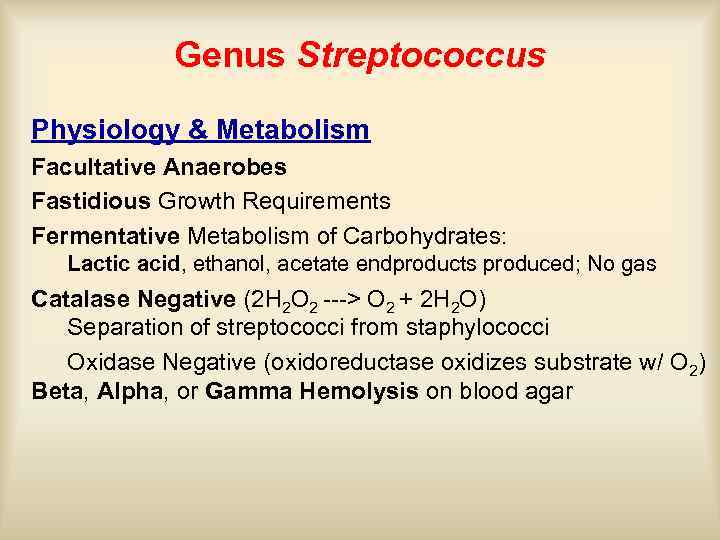 Genus Streptococcus Physiology & Metabolism Facultative Anaerobes Fastidious Growth Requirements Fermentative Metabolism of Carbohydrates: