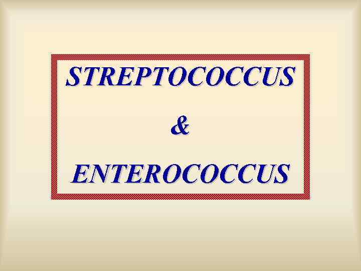 STREPTOCOCCUS & ENTEROCOCCUS 