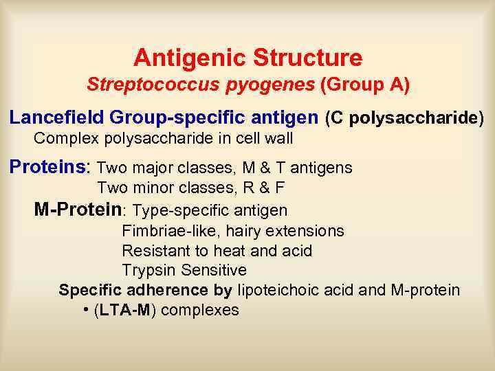Antigenic Structure Streptococcus pyogenes (Group A) Lancefield Group-specific antigen (C polysaccharide) Complex polysaccharide in