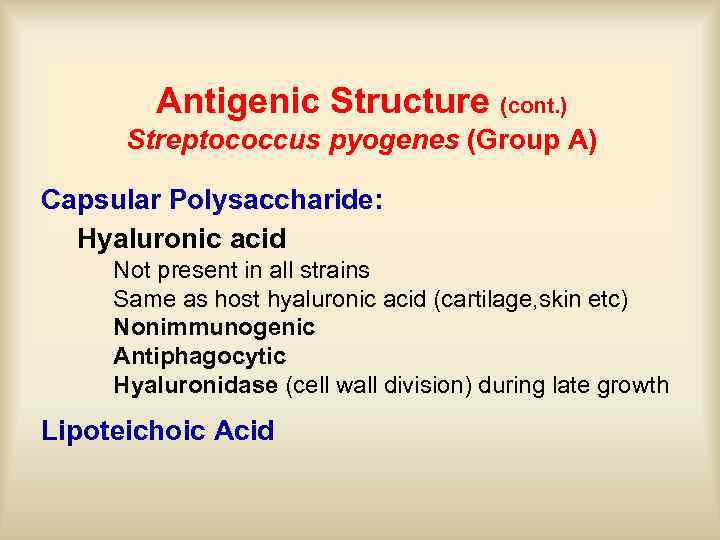 Antigenic Structure (cont. ) Streptococcus pyogenes (Group A) Capsular Polysaccharide: Hyaluronic acid Not present