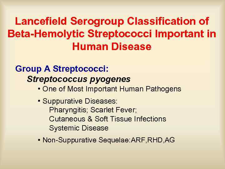 Lancefield Serogroup Classification of Beta-Hemolytic Streptococci Important in Human Disease Group A Streptococci: Streptococcus
