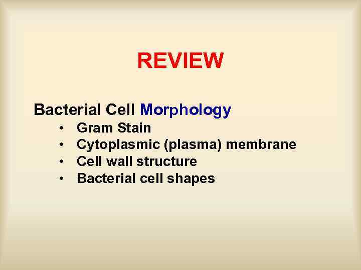 REVIEW Bacterial Cell Morphology • • Gram Stain Cytoplasmic (plasma) membrane Cell wall structure