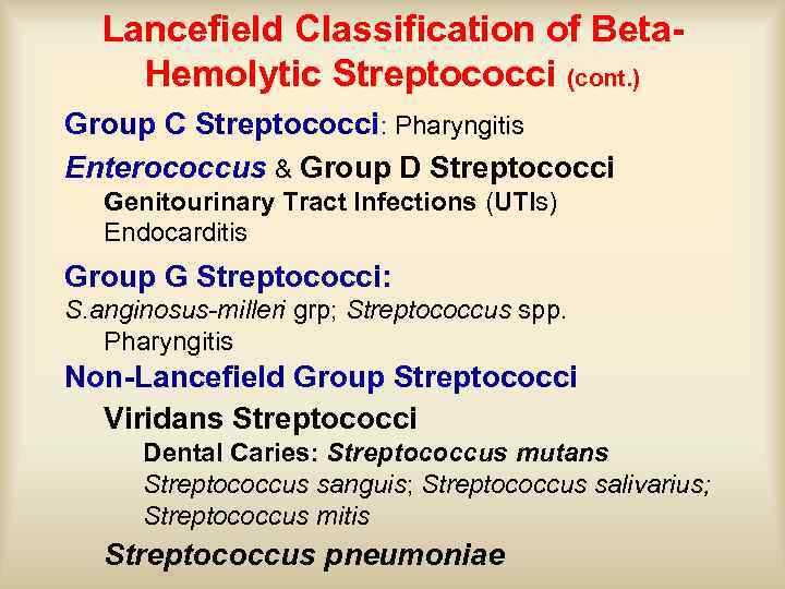 Lancefield Classification of Beta. Hemolytic Streptococci (cont. ) Group C Streptococci: Pharyngitis Enterococcus &