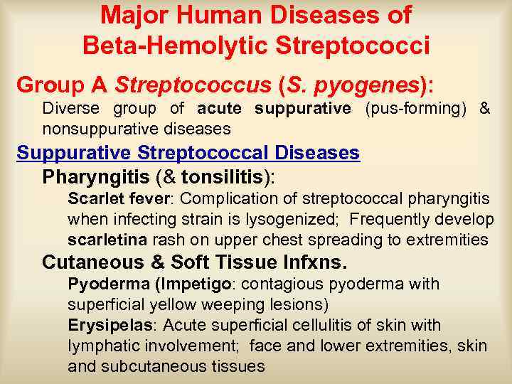 Major Human Diseases of Beta-Hemolytic Streptococci Group A Streptococcus (S. pyogenes): Diverse group of
