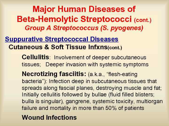 Major Human Diseases of Beta-Hemolytic Streptococci (cont. ) Group A Streptococcus (S. pyogenes) Suppurative